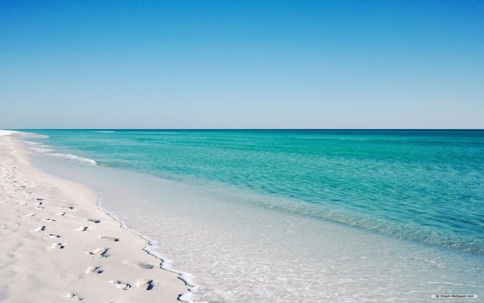 Visiting Florida